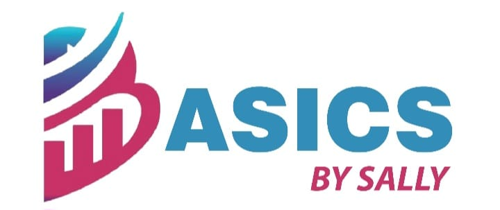 Basics  Accounting System